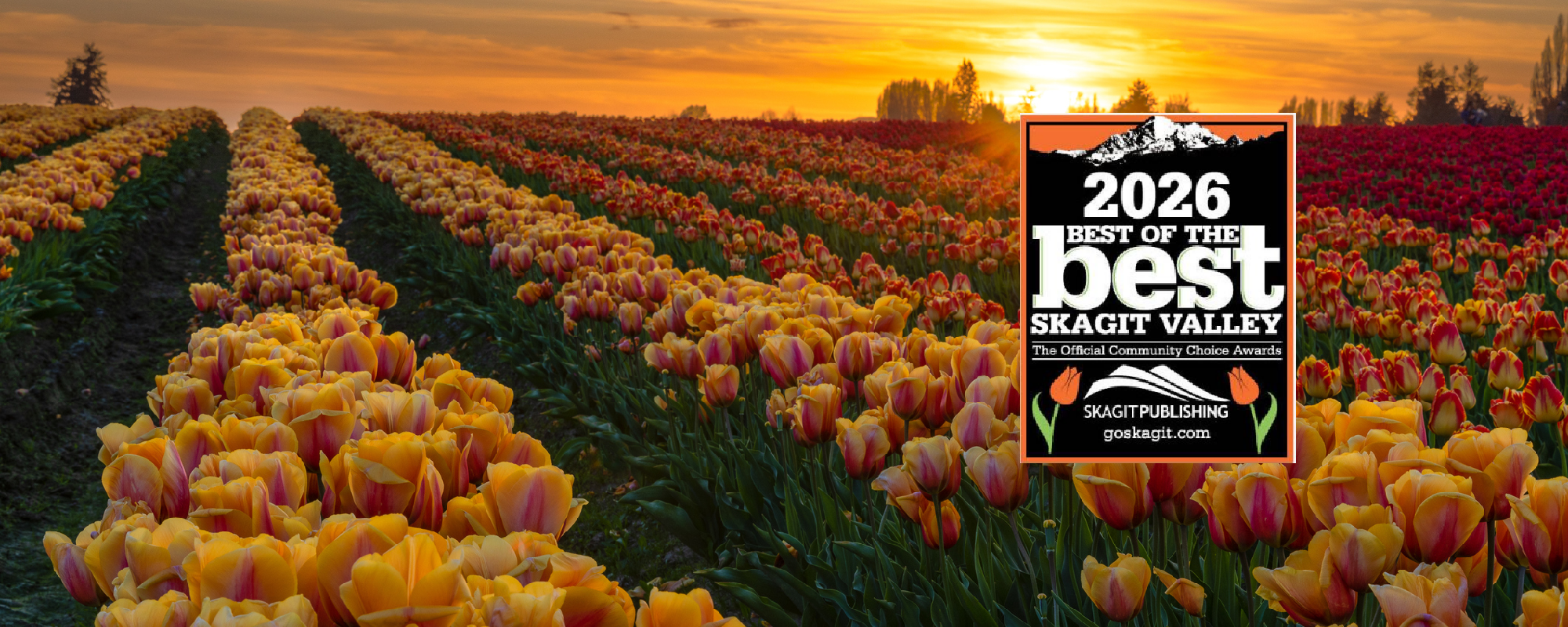 flower-banner-best-updated